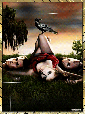 vampirnaplok02.gif vampirnaplok02.gif